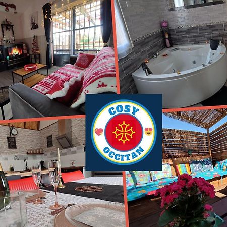 Le Cosy Occitan Villa Chaleureuse Independante Baignoire Terrasse Jardin Carcassonne Dış mekan fotoğraf