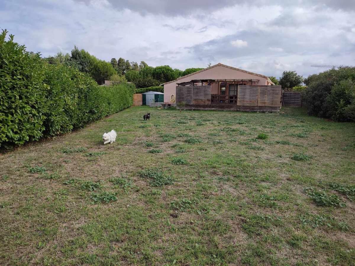 Le Cosy Occitan Villa Chaleureuse Independante Baignoire Terrasse Jardin Carcassonne Dış mekan fotoğraf